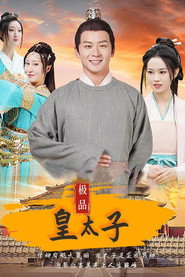 极品皇太子 封面
