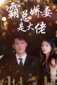 霸总娇妻是大佬 封面