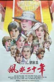 风水二十年 封面