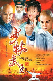 少林武王 封面