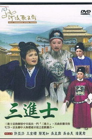 這不是電視歌仔戲 封面