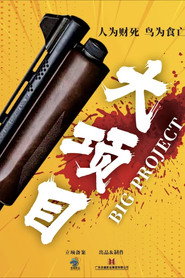 大项目 封面