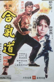 合气道 封面