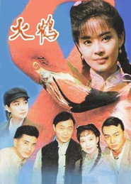 火鹤 封面