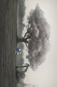 A Tree 封面