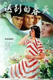 迟到的春天 封面