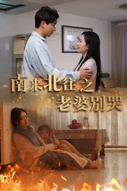 南来北往之老婆别哭 封面