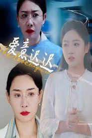爱意迟迟 封面