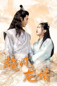 超凡龙婿 封面