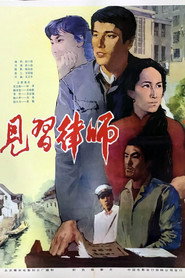 见习律师 封面