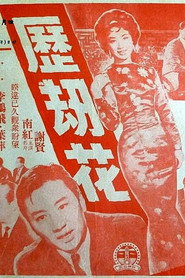 历劫花 封面