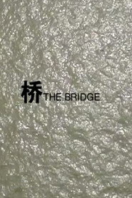 桥 封面