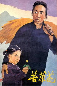 苦菜花 封面
