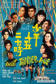少年十五二十时 封面