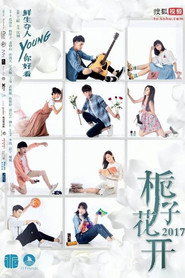 栀子花开 封面