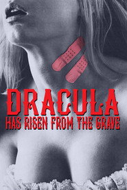 血溅坟场 封面