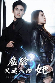 危险又迷人的她 封面