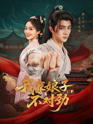 我家娘子,不对劲 封面