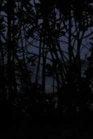 From the Void of Time 封面