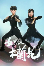 女黑侠木兰花 封面