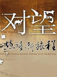 对望:丝路新旅程 封面