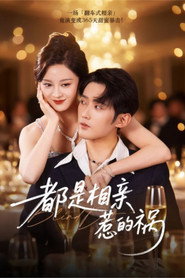 都是相亲惹的祸 封面