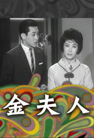 金夫人 封面