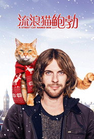 流浪猫鲍勃 封面
