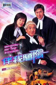 伴我骄阳 封面