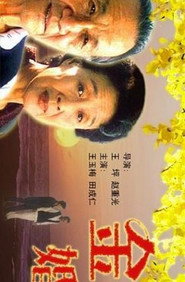 金婚 封面