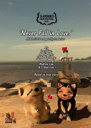 Never Fall in Love. 封面
