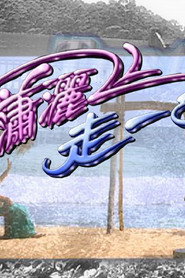 潇洒走一回 封面