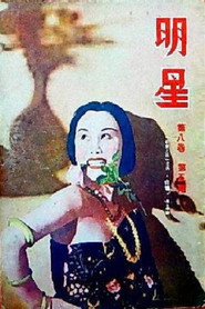 社会之花 封面