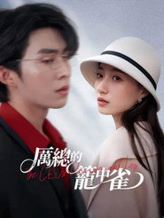 厉总的笼中雀 封面
