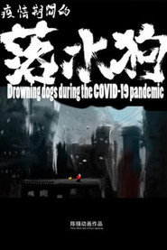 疫情期间的落水狗 封面
