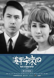 回来安平港 封面