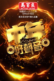 中年好聲音 封面