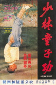少林童子功 封面