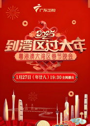 粤港澳大湾区春节晚会 封面