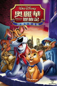 奥丽华历险记 封面