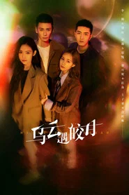 乌云遇皎月 封面