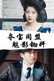 夺宝同盟:魅影锄奸 封面