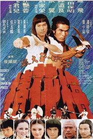 Fang Shi Yu da po mei hua zhuang 封面