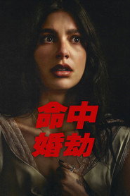 命中婚劫 封面