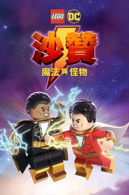 乐高DC沙赞:魔法与魔物 封面