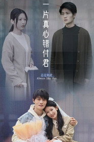 一片真心错付君 封面