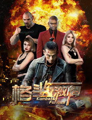 格斗与激情 封面