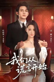 我们从谎言开始 封面