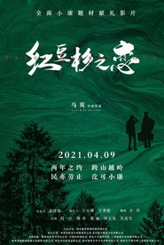 红豆杉之恋 封面