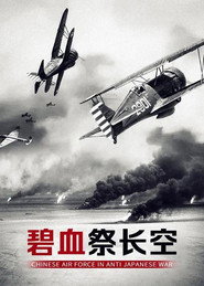 碧血祭长空 封面